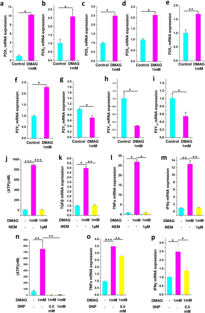 https://cdn.ncbi.nlm.nih.gov/pmc/blobs/7f04/8105335/b55863e21b1d/41598_2021_89137_Fig3_HTML.jpg