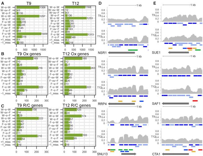 https://cdn.ncbi.nlm.nih.gov/pmc/blobs/7f05/6765203/7b3a46c87245/gkz759fig5.jpg