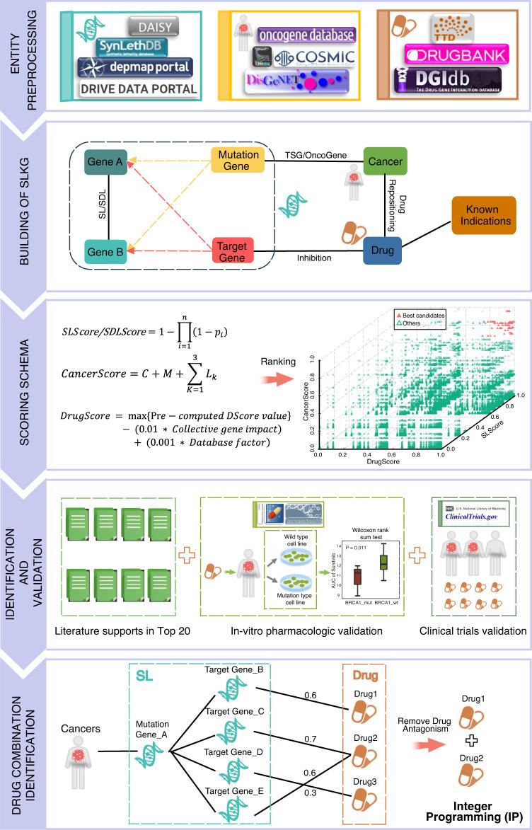 https://cdn.ncbi.nlm.nih.gov/pmc/blobs/7f07/7904840/ae4d8a1d4d1e/41467_2021_21544_Fig2_HTML.jpg