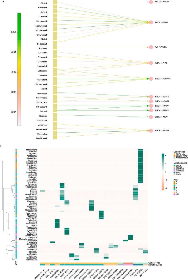 https://cdn.ncbi.nlm.nih.gov/pmc/blobs/7f07/7904840/d9ae568e7d76/41467_2021_21544_Fig5_HTML.jpg