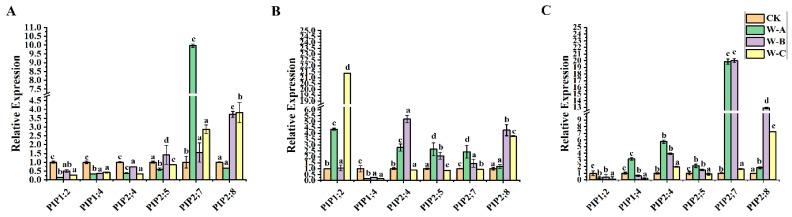 https://cdn.ncbi.nlm.nih.gov/pmc/blobs/7f08/11432731/633bb8f623fa/ijms-25-10185-g007.jpg