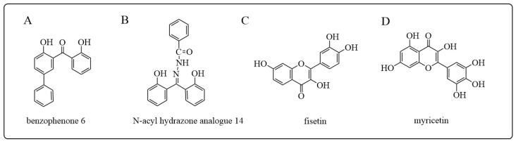 https://cdn.ncbi.nlm.nih.gov/pmc/blobs/7f0d/10668987/0a54396e1973/antioxidants-12-01970-g010.jpg