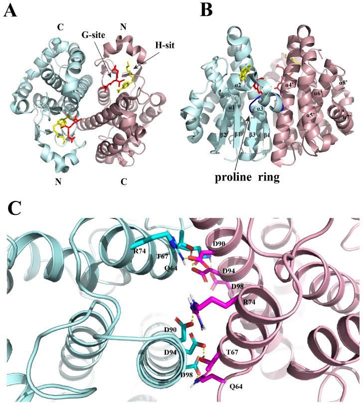 https://cdn.ncbi.nlm.nih.gov/pmc/blobs/7f0d/10668987/a6ae0dceeab4/antioxidants-12-01970-g001.jpg