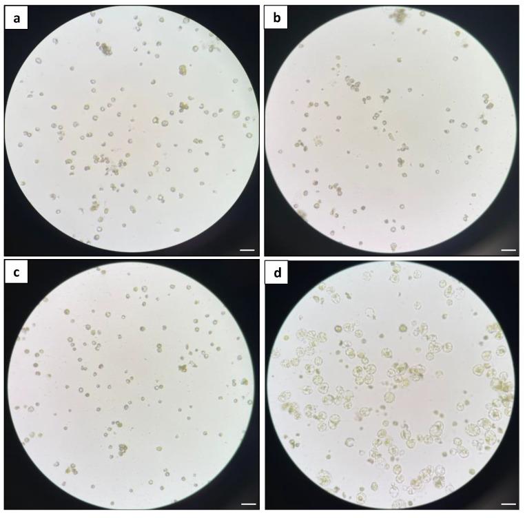https://cdn.ncbi.nlm.nih.gov/pmc/blobs/7f0d/10780843/ab5b97d15505/plants-13-00040-g007.jpg