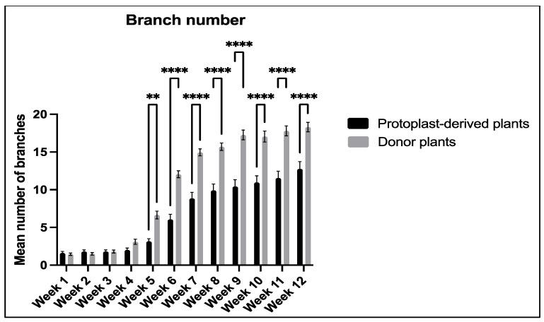 https://cdn.ncbi.nlm.nih.gov/pmc/blobs/7f0d/10780843/aeaa90c1b294/plants-13-00040-g018.jpg