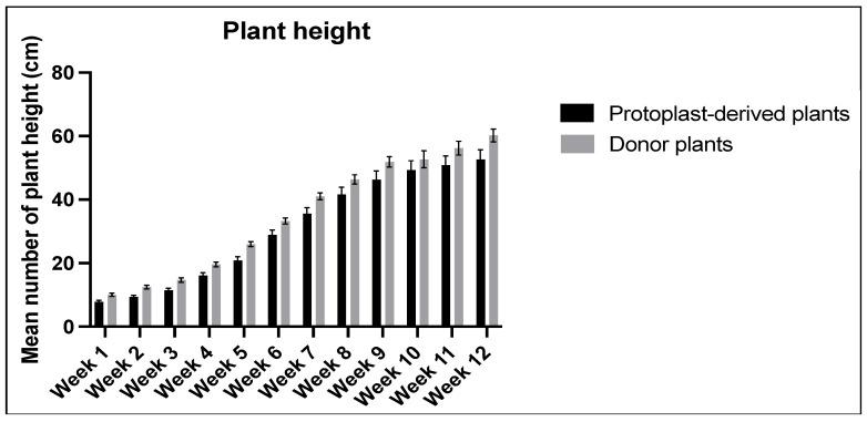 https://cdn.ncbi.nlm.nih.gov/pmc/blobs/7f0d/10780843/b301c8aca1be/plants-13-00040-g015.jpg