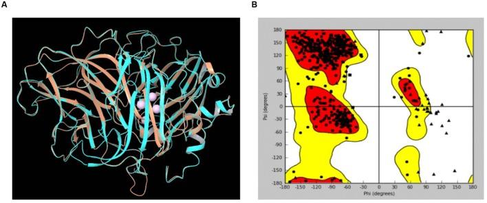 https://cdn.ncbi.nlm.nih.gov/pmc/blobs/7f0e/4870842/4c8b64b24122/fmicb-07-00707-g009.jpg