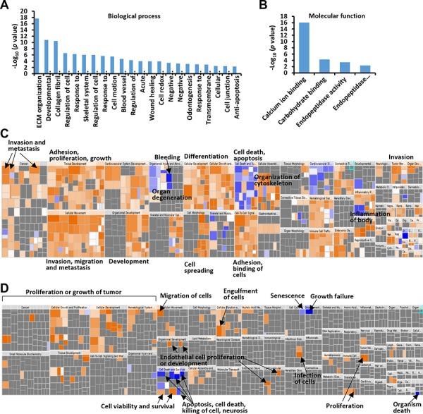https://cdn.ncbi.nlm.nih.gov/pmc/blobs/7f10/4745773/83162294f40e/oncotarget-06-29929-g002.jpg