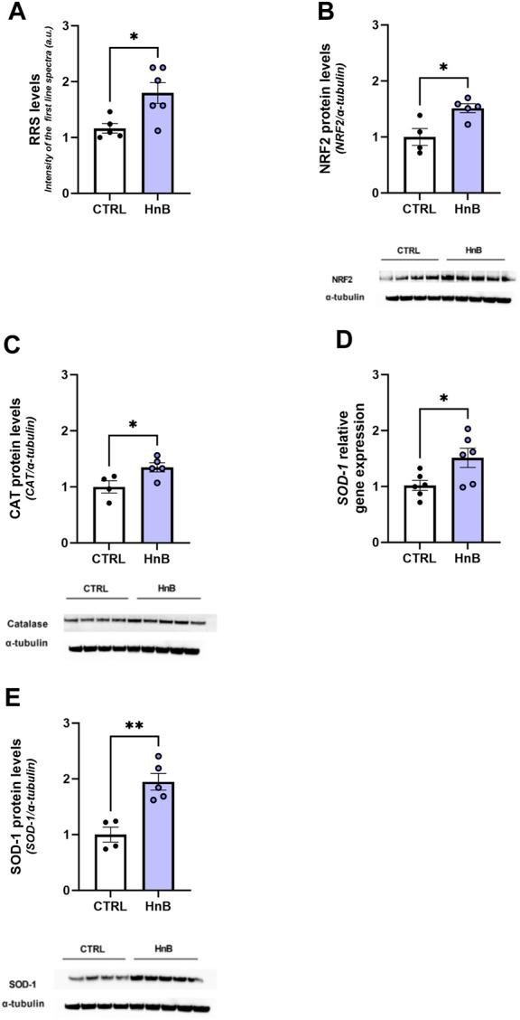 https://cdn.ncbi.nlm.nih.gov/pmc/blobs/7f11/10851081/0f5d53cabc35/fphar-15-1328917-g002.jpg