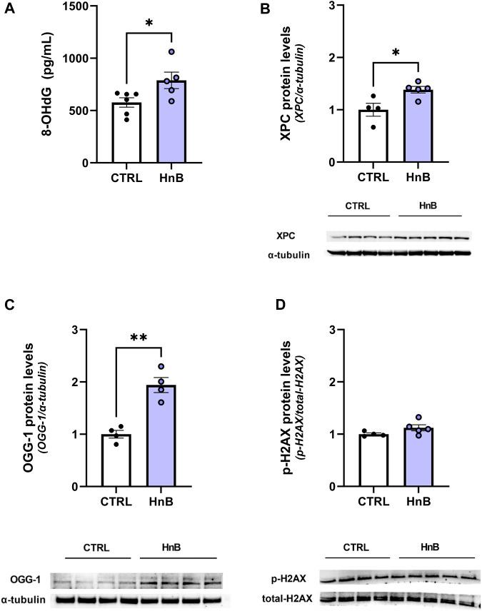 https://cdn.ncbi.nlm.nih.gov/pmc/blobs/7f11/10851081/e32fddb47607/fphar-15-1328917-g003.jpg