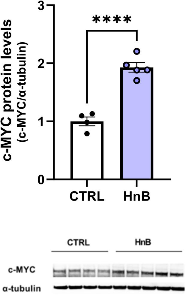 https://cdn.ncbi.nlm.nih.gov/pmc/blobs/7f11/10851081/f356ae661573/fphar-15-1328917-g005.jpg