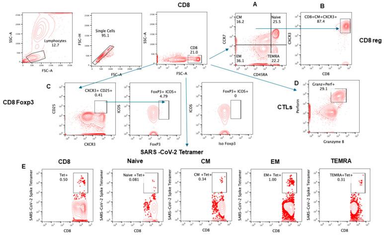 https://cdn.ncbi.nlm.nih.gov/pmc/blobs/7f11/11206773/2d0dccb9c487/pathogens-13-00514-g002.jpg
