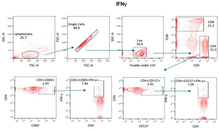 https://cdn.ncbi.nlm.nih.gov/pmc/blobs/7f11/11206773/4e4b3f253650/pathogens-13-00514-g004.jpg