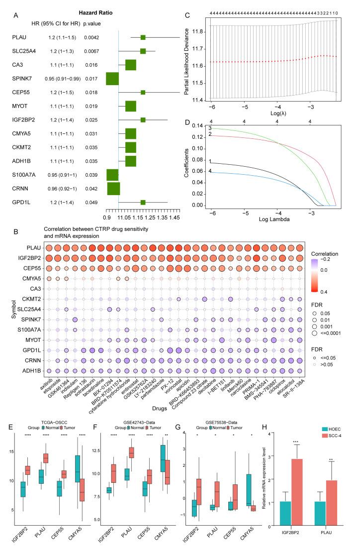 https://cdn.ncbi.nlm.nih.gov/pmc/blobs/7f14/12327071/0b4f86aa5a2e/ohpd-23-391-g003.jpg