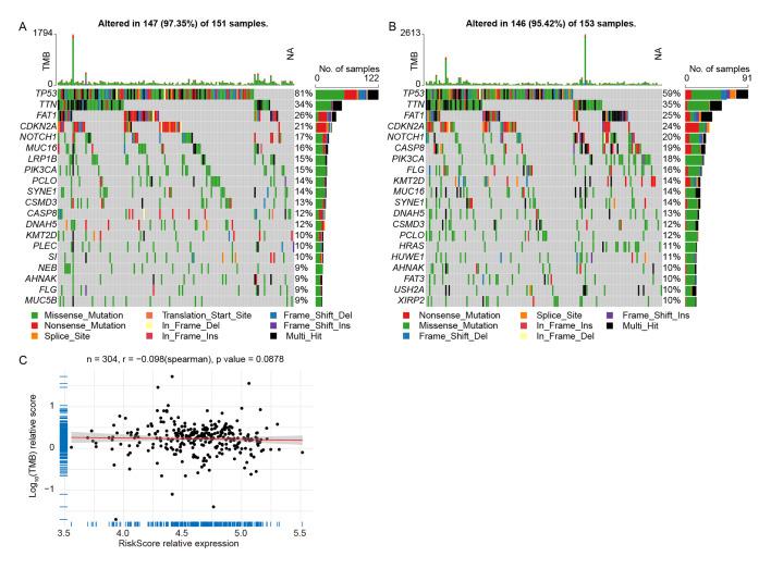 https://cdn.ncbi.nlm.nih.gov/pmc/blobs/7f14/12327071/2bdbafa13a62/ohpd-23-391-g007.jpg