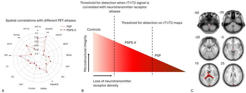 https://cdn.ncbi.nlm.nih.gov/pmc/blobs/7f15/12072834/af68452bf25c/jcm-14-02888-g003.jpg