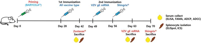 https://cdn.ncbi.nlm.nih.gov/pmc/blobs/7f16/12064069/55a7714ec377/KHVI_A_2495607_F0002_OC.jpg