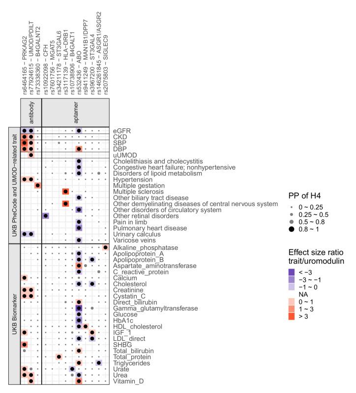 https://cdn.ncbi.nlm.nih.gov/pmc/blobs/7f16/9220927/e0441d762de4/jciinsight-7-157035-g121.jpg