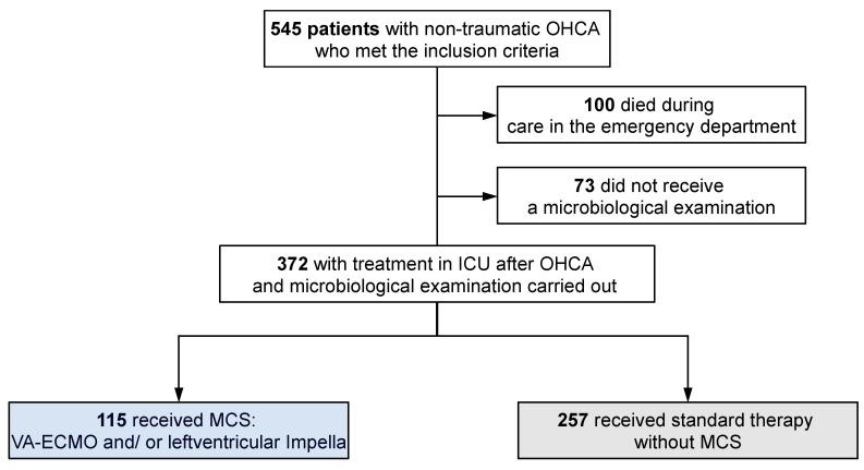 https://cdn.ncbi.nlm.nih.gov/pmc/blobs/7f18/11312496/f6741061563b/jcm-13-04297-g001.jpg