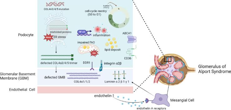 https://cdn.ncbi.nlm.nih.gov/pmc/blobs/7f1a/11135632/f34c144a4595/j_jtim-2024-0005_fig_001.jpg