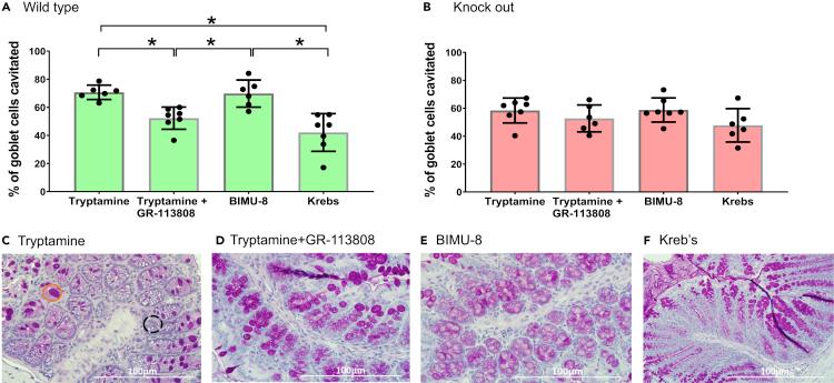 https://cdn.ncbi.nlm.nih.gov/pmc/blobs/7f1b/7702010/bed3e232ee9a/gr1.jpg