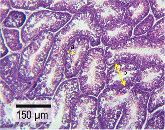 https://cdn.ncbi.nlm.nih.gov/pmc/blobs/7f1d/11665380/635b44a5b492/gr1.jpg