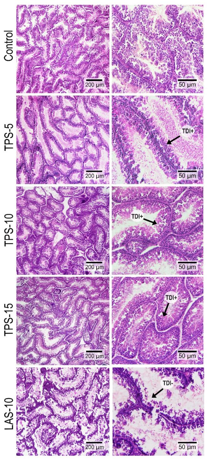 https://cdn.ncbi.nlm.nih.gov/pmc/blobs/7f1d/11665380/e21222fe01d1/gr2.jpg
