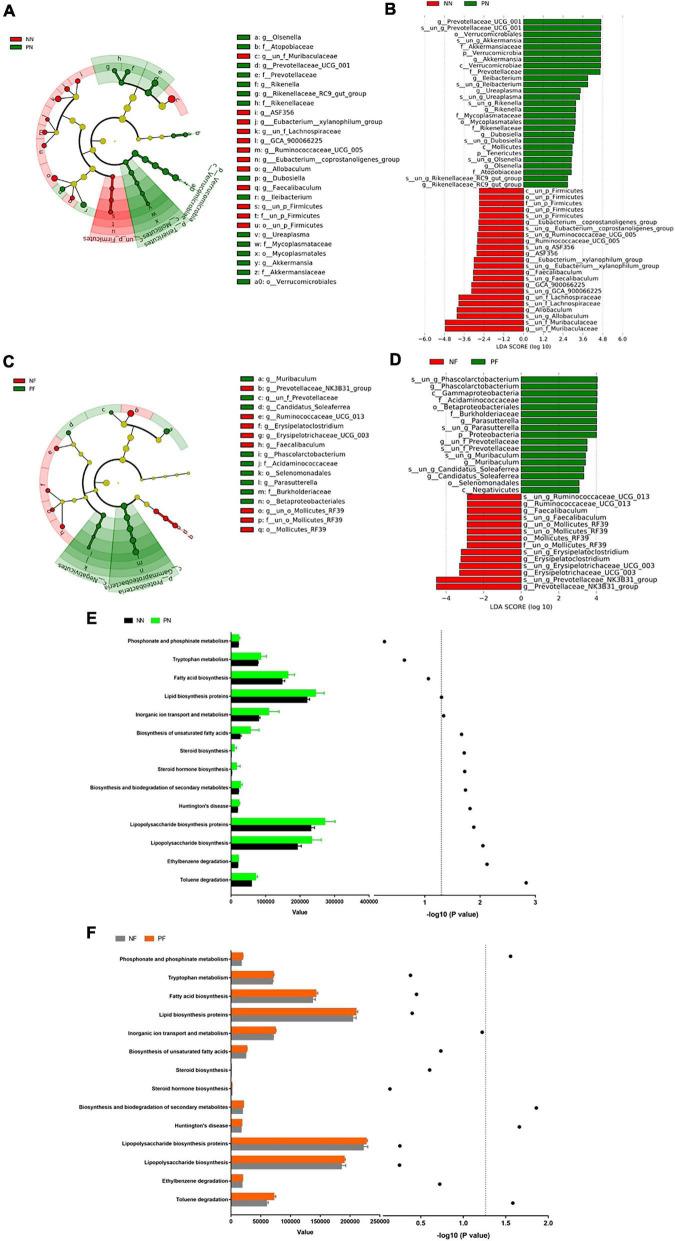 https://cdn.ncbi.nlm.nih.gov/pmc/blobs/7f1e/9512646/40452b813c77/fmicb-13-935919-g005.jpg