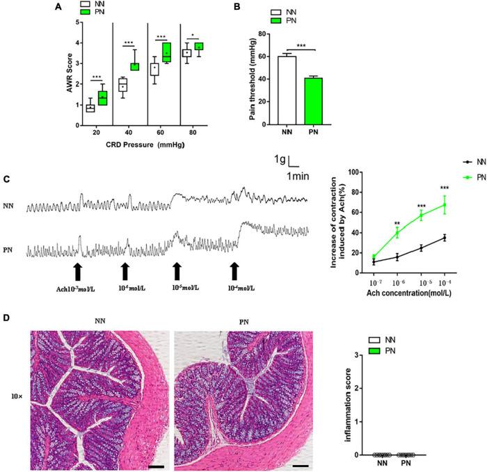 https://cdn.ncbi.nlm.nih.gov/pmc/blobs/7f1e/9512646/82836a7fa724/fmicb-13-935919-g002.jpg