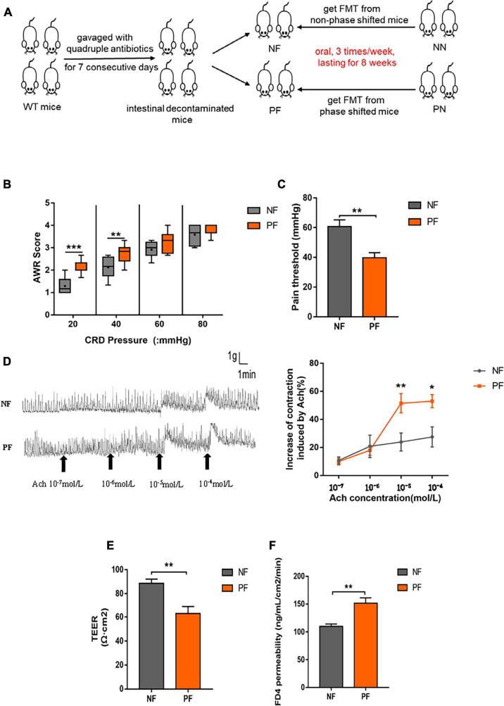 https://cdn.ncbi.nlm.nih.gov/pmc/blobs/7f1e/9512646/f0be3c579069/fmicb-13-935919-g006.jpg