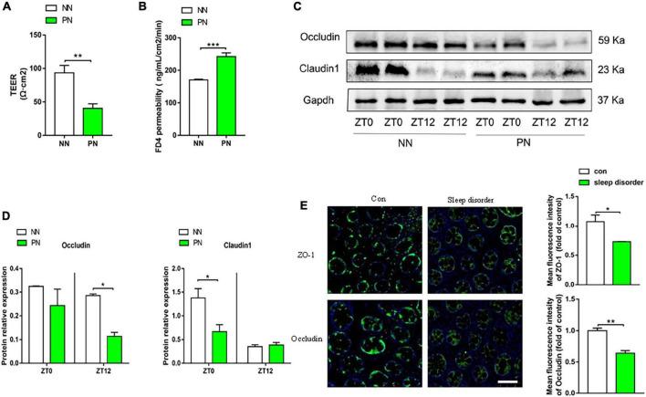 https://cdn.ncbi.nlm.nih.gov/pmc/blobs/7f1e/9512646/f8bb5cb2370b/fmicb-13-935919-g003.jpg
