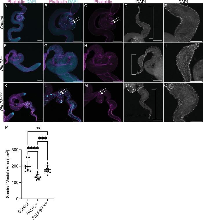 https://cdn.ncbi.nlm.nih.gov/pmc/blobs/7f21/11527243/59731495804c/pone.0306676.g008.jpg