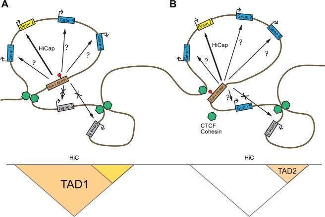 https://cdn.ncbi.nlm.nih.gov/pmc/blobs/7f21/6389883/b27cf3058a31/41598_2019_39633_Fig4_HTML.jpg