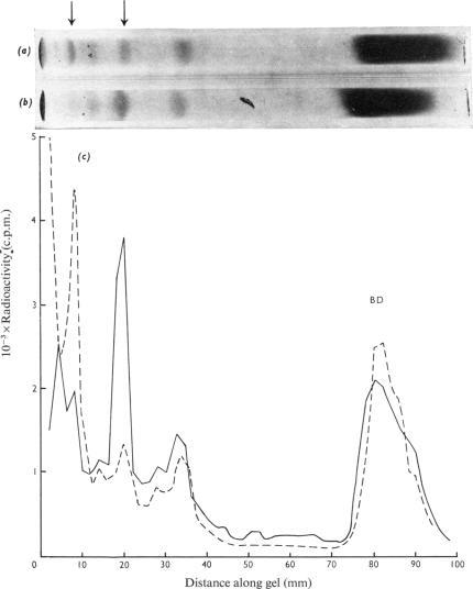 https://cdn.ncbi.nlm.nih.gov/pmc/blobs/7f22/1165704/b58942111f85/biochemj00552-0078-a.jpg