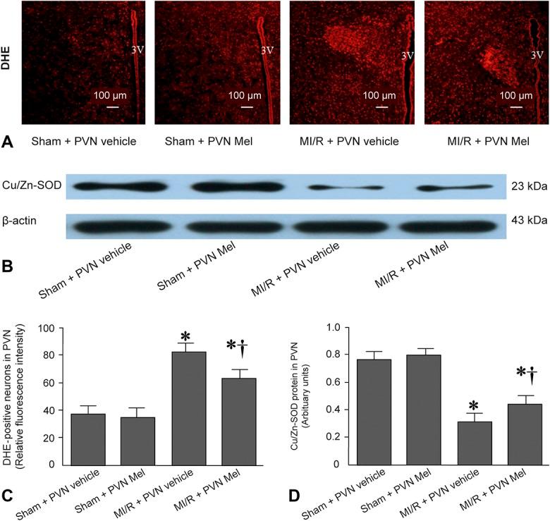 https://cdn.ncbi.nlm.nih.gov/pmc/blobs/7f22/6791501/5d38f8cbc0e5/jcvp-74-336-g004.jpg