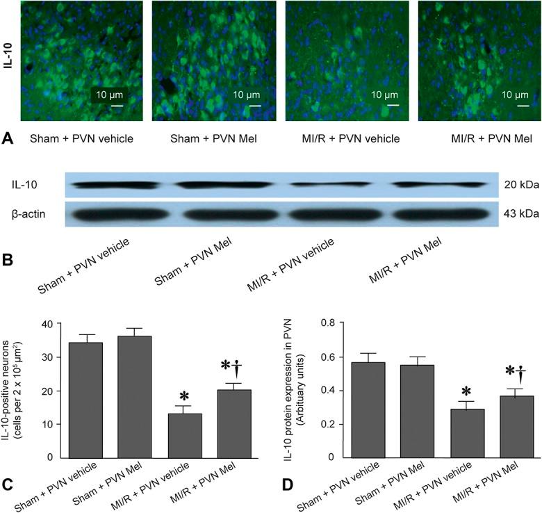 https://cdn.ncbi.nlm.nih.gov/pmc/blobs/7f22/6791501/abe5c564e1de/jcvp-74-336-g008.jpg