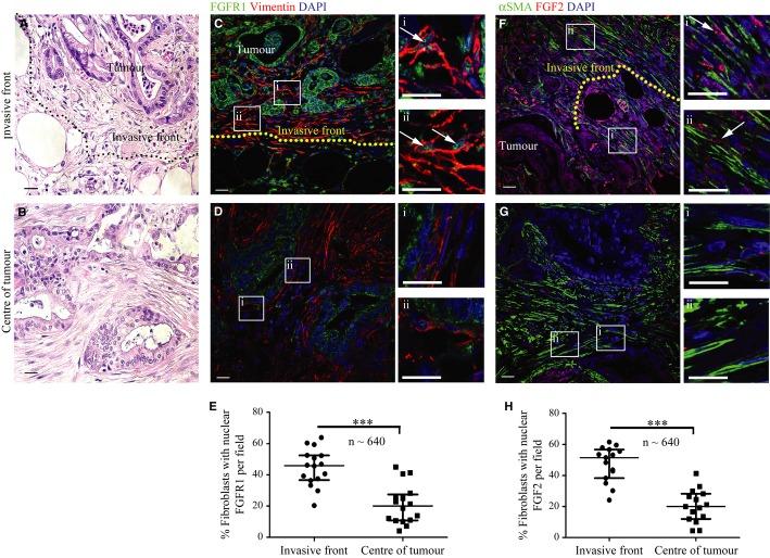https://cdn.ncbi.nlm.nih.gov/pmc/blobs/7f25/3992074/898abc22cb2e/emmm0006-0467-f8.jpg
