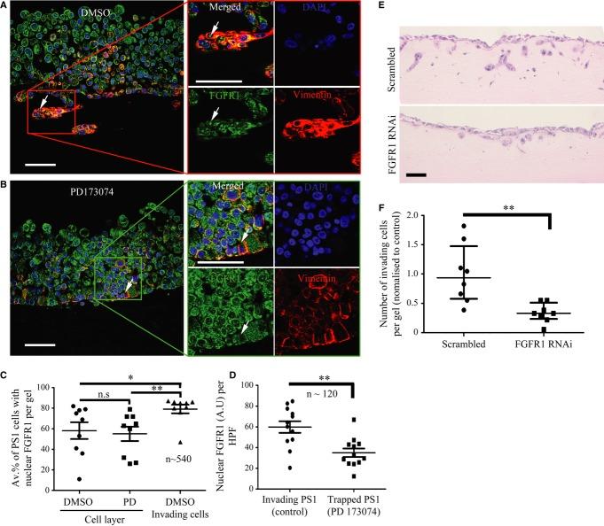 https://cdn.ncbi.nlm.nih.gov/pmc/blobs/7f25/3992074/cbf8d01aa45a/emmm0006-0467-f6.jpg