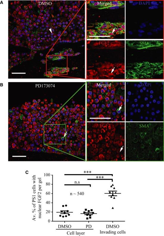 https://cdn.ncbi.nlm.nih.gov/pmc/blobs/7f25/3992074/f1a5e9f712f9/emmm0006-0467-f7.jpg