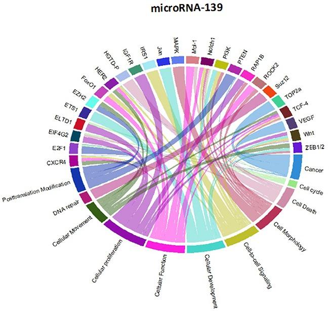 https://cdn.ncbi.nlm.nih.gov/pmc/blobs/7f25/5288195/4d91294311e5/oncotarget-07-53392-g013.jpg