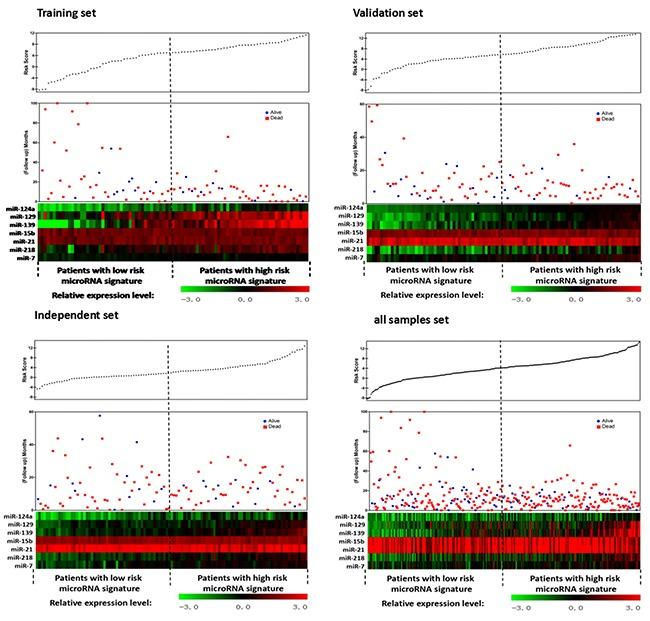 https://cdn.ncbi.nlm.nih.gov/pmc/blobs/7f25/5288195/6fe4df0d9a97/oncotarget-07-53392-g003.jpg