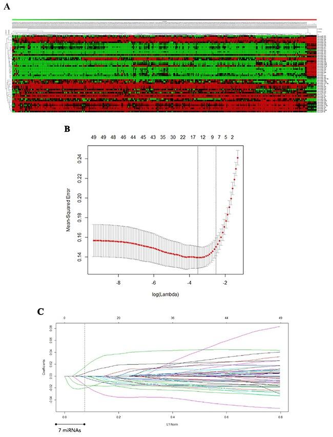 https://cdn.ncbi.nlm.nih.gov/pmc/blobs/7f25/5288195/b54af02e01d5/oncotarget-07-53392-g001.jpg