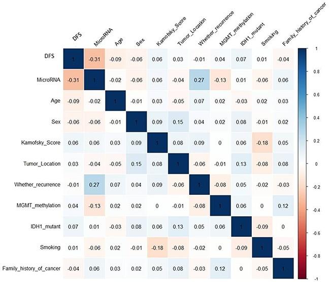 https://cdn.ncbi.nlm.nih.gov/pmc/blobs/7f25/5288195/bec172da50cd/oncotarget-07-53392-g005.jpg