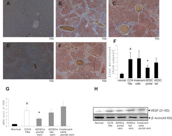 https://cdn.ncbi.nlm.nih.gov/pmc/blobs/7f27/3439354/d12b14cf2c12/1479-5876-10-133-2.jpg