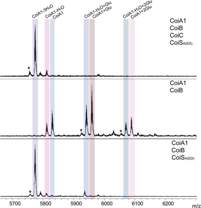 https://cdn.ncbi.nlm.nih.gov/pmc/blobs/7f28/9486935/5c83766de4cd/cb2c00492_0005.jpg