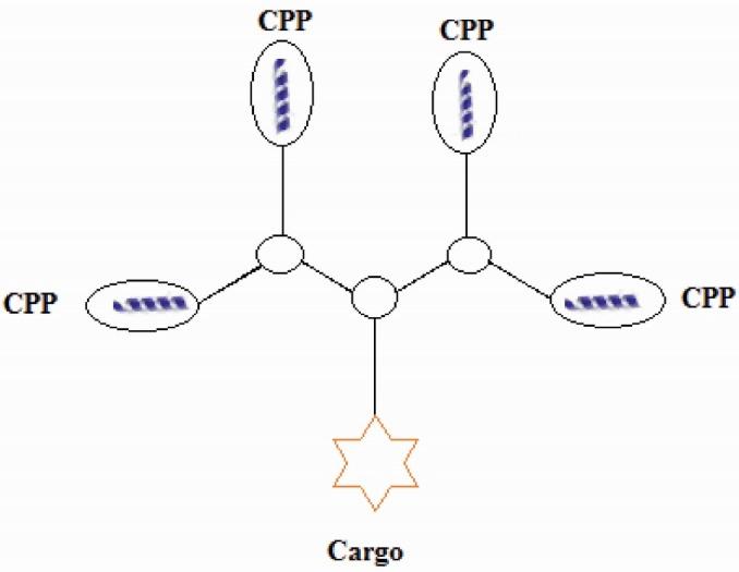 https://cdn.ncbi.nlm.nih.gov/pmc/blobs/7f2a/4492185/e593b9282ed8/BI-5-103-g003.jpg