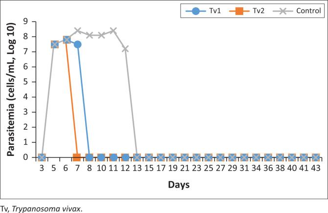 https://cdn.ncbi.nlm.nih.gov/pmc/blobs/7f2b/11005941/a32fae2a5ac2/OJVR-91-2115-g002.jpg