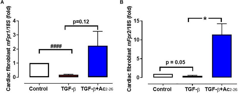 https://cdn.ncbi.nlm.nih.gov/pmc/blobs/7f2b/6457169/7c1bf06717b5/fphar-10-00269-g003.jpg