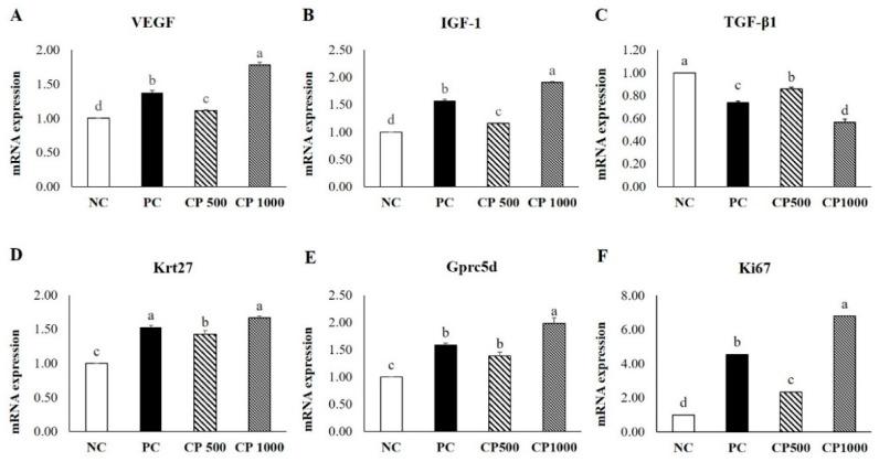 https://cdn.ncbi.nlm.nih.gov/pmc/blobs/7f2c/9569759/539c772fc581/ijms-23-11904-g006.jpg