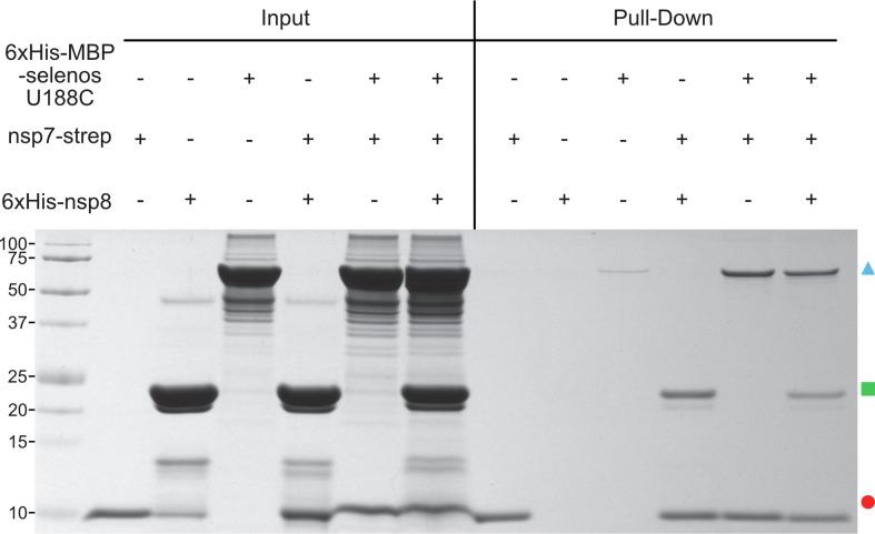 https://cdn.ncbi.nlm.nih.gov/pmc/blobs/7f2e/9911985/24757470a546/gr4_lrg.jpg
